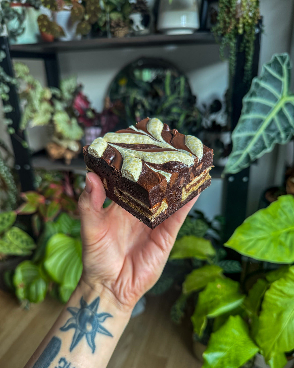 Nutella s’mores brownie