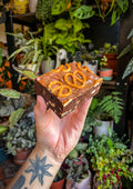 Salted caramel pretzel brownie
