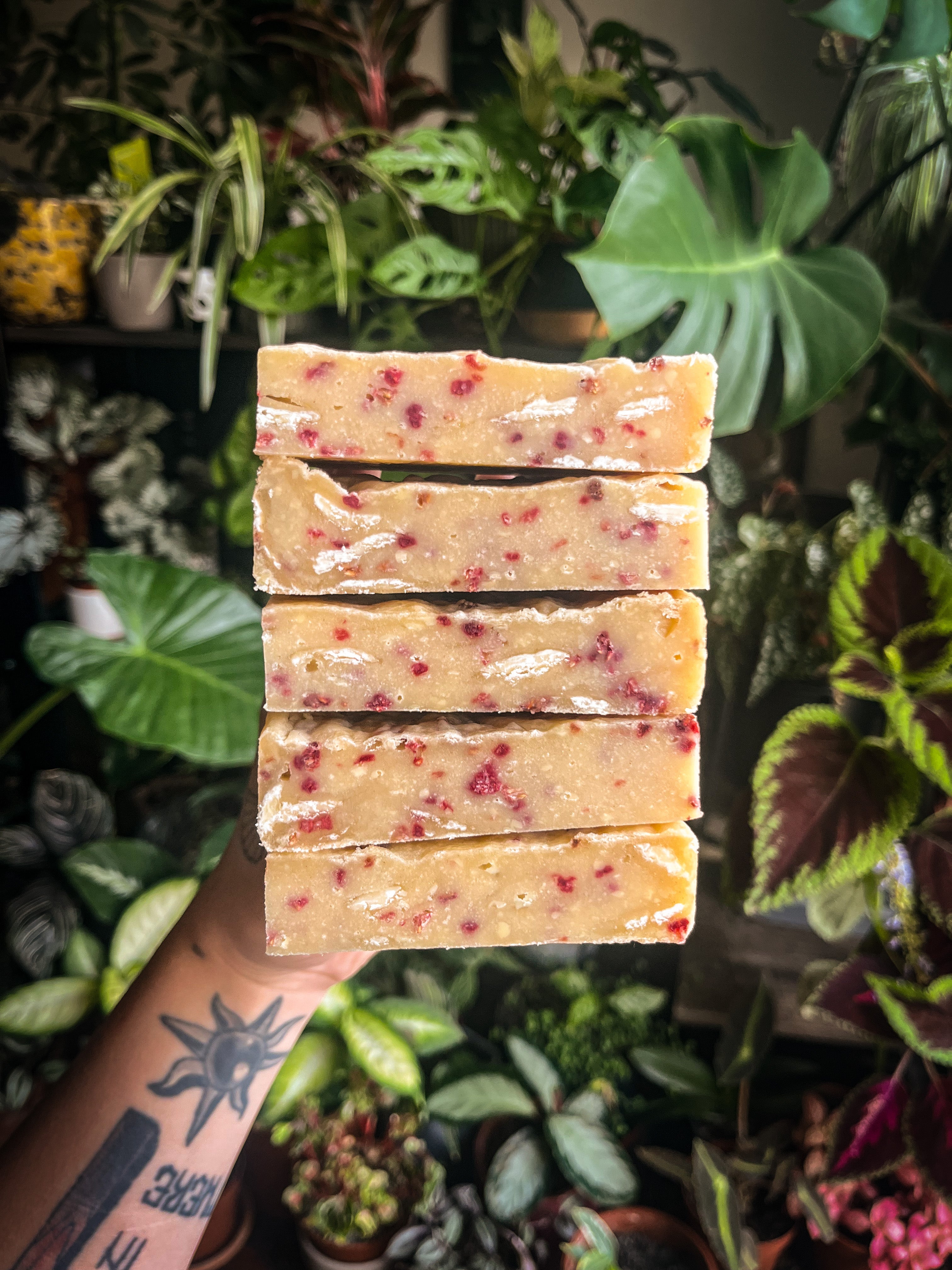 Raspberry Blondie (vg)