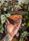 Triple choccy brownie