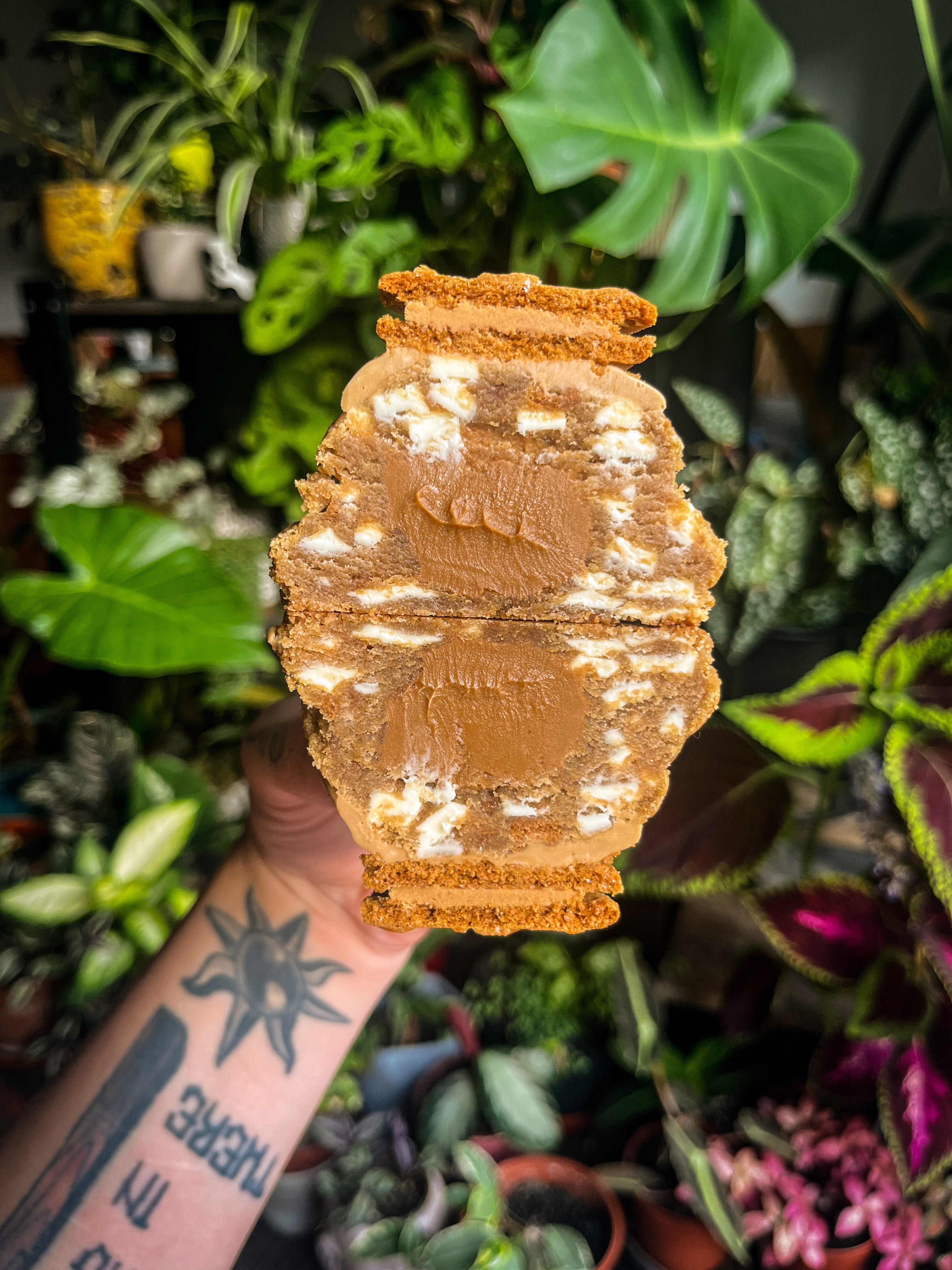 Biscoff cookie