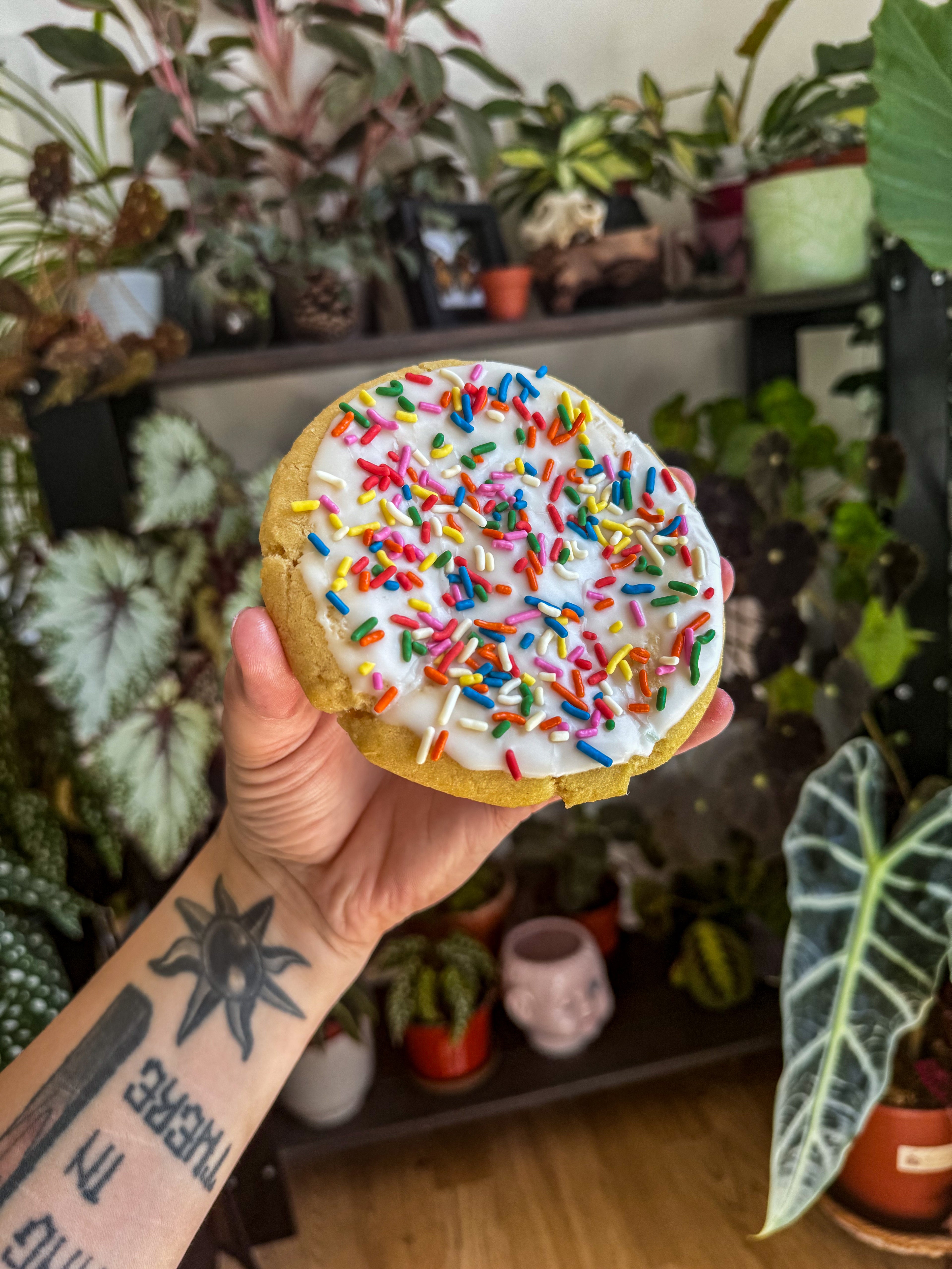 Sprinkle cookie (vg)