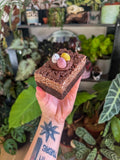 Krispie brownie (without mini eggs)