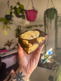 Cookie dough brownie (vg)