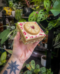Jammie dodger millionaire