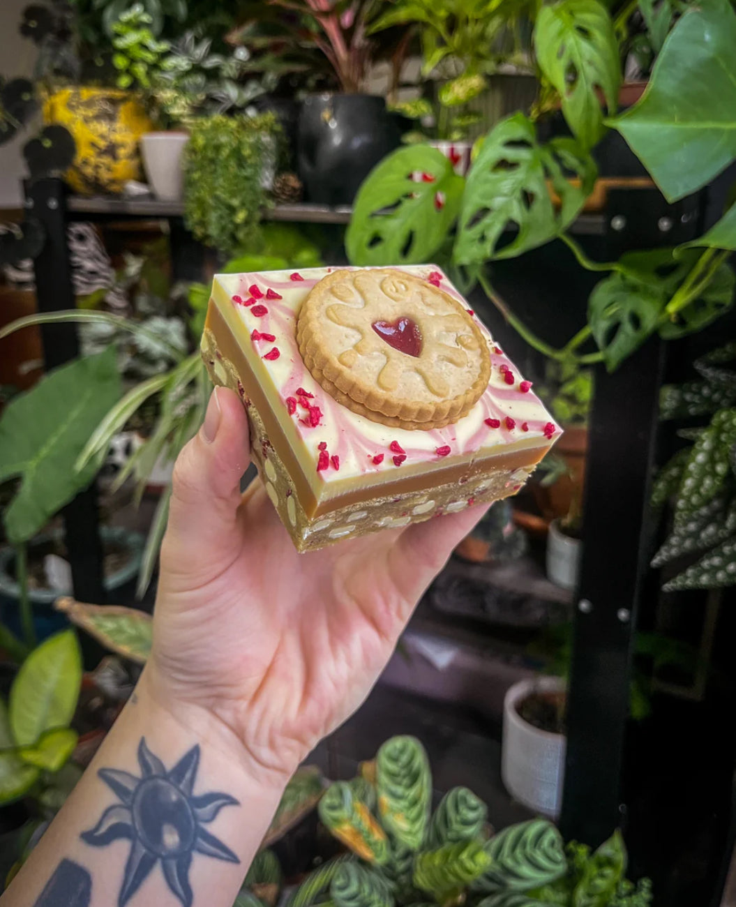 Jammie dodger millionaire