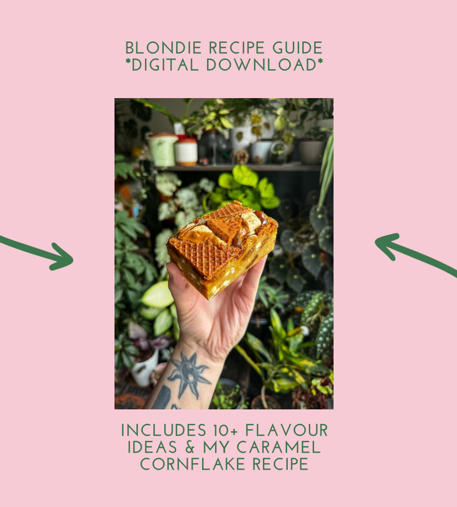 Blondie recipe guide (digital download)