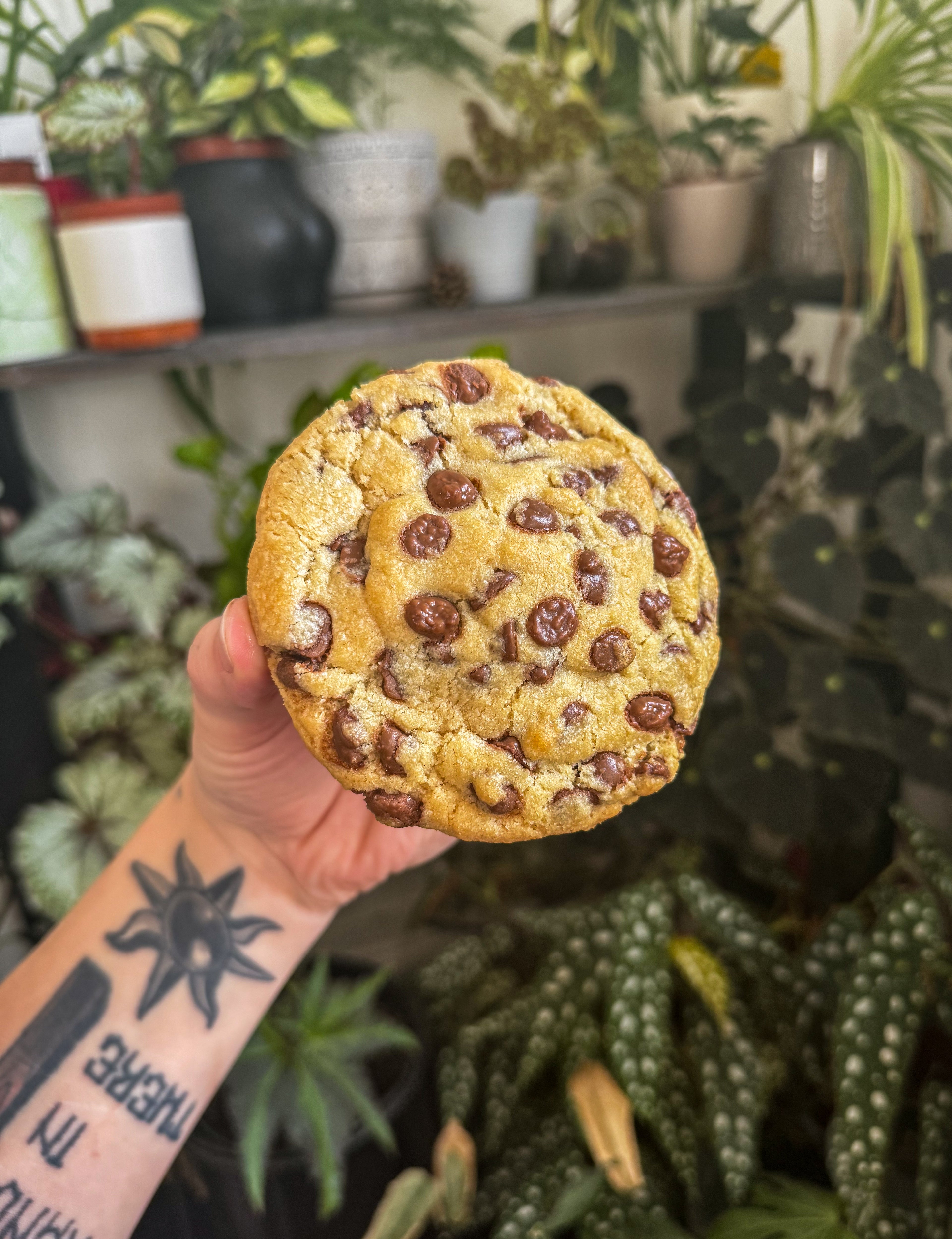 Classic choc chip cookie (vg)