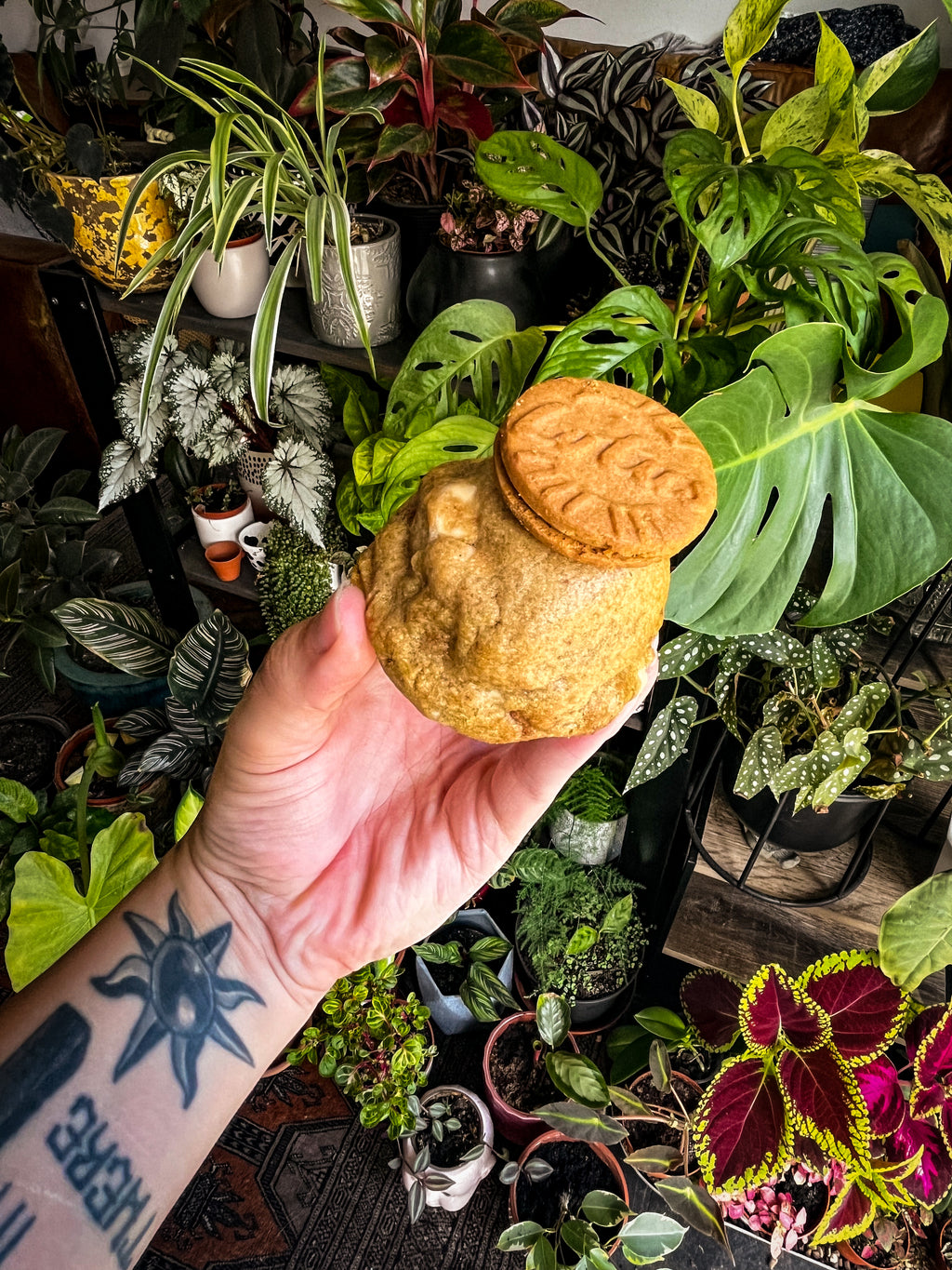 Biscoff cookie (vg)