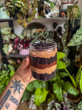 Choccy cake jar (vg)