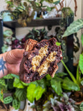 Kinder kunafa cookie