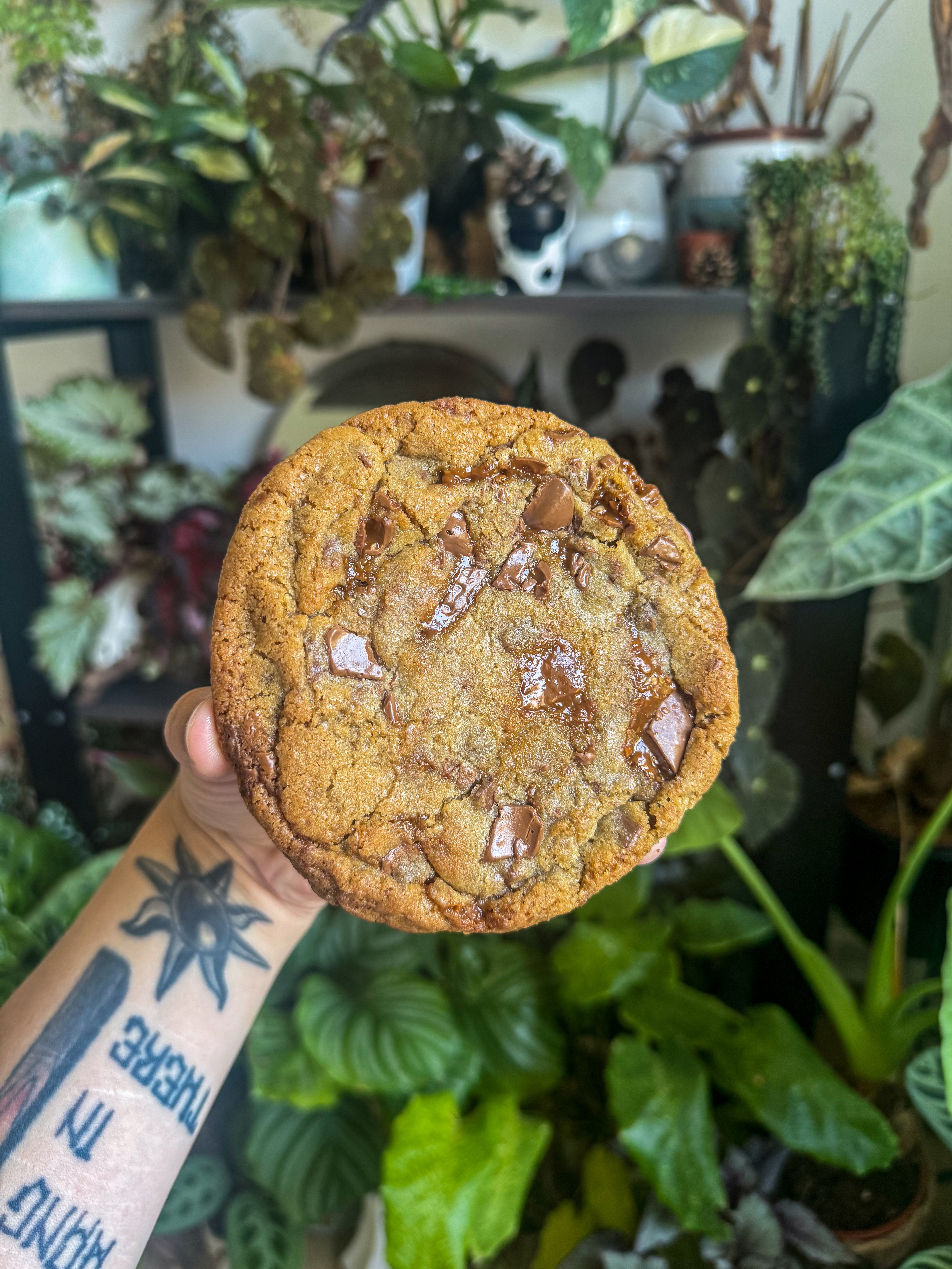 Daim chewy cookie