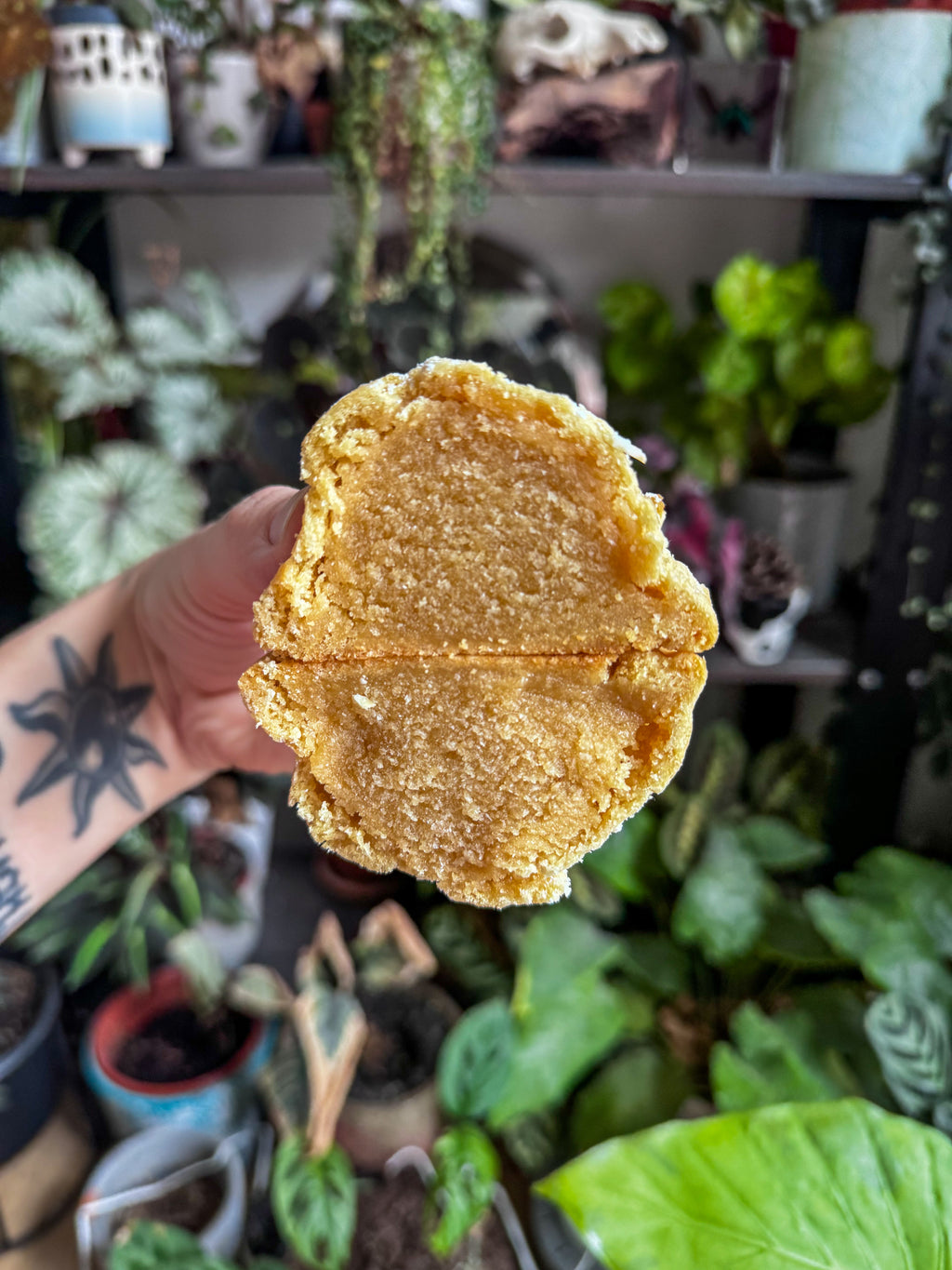 Almond croissant cookie (vg)