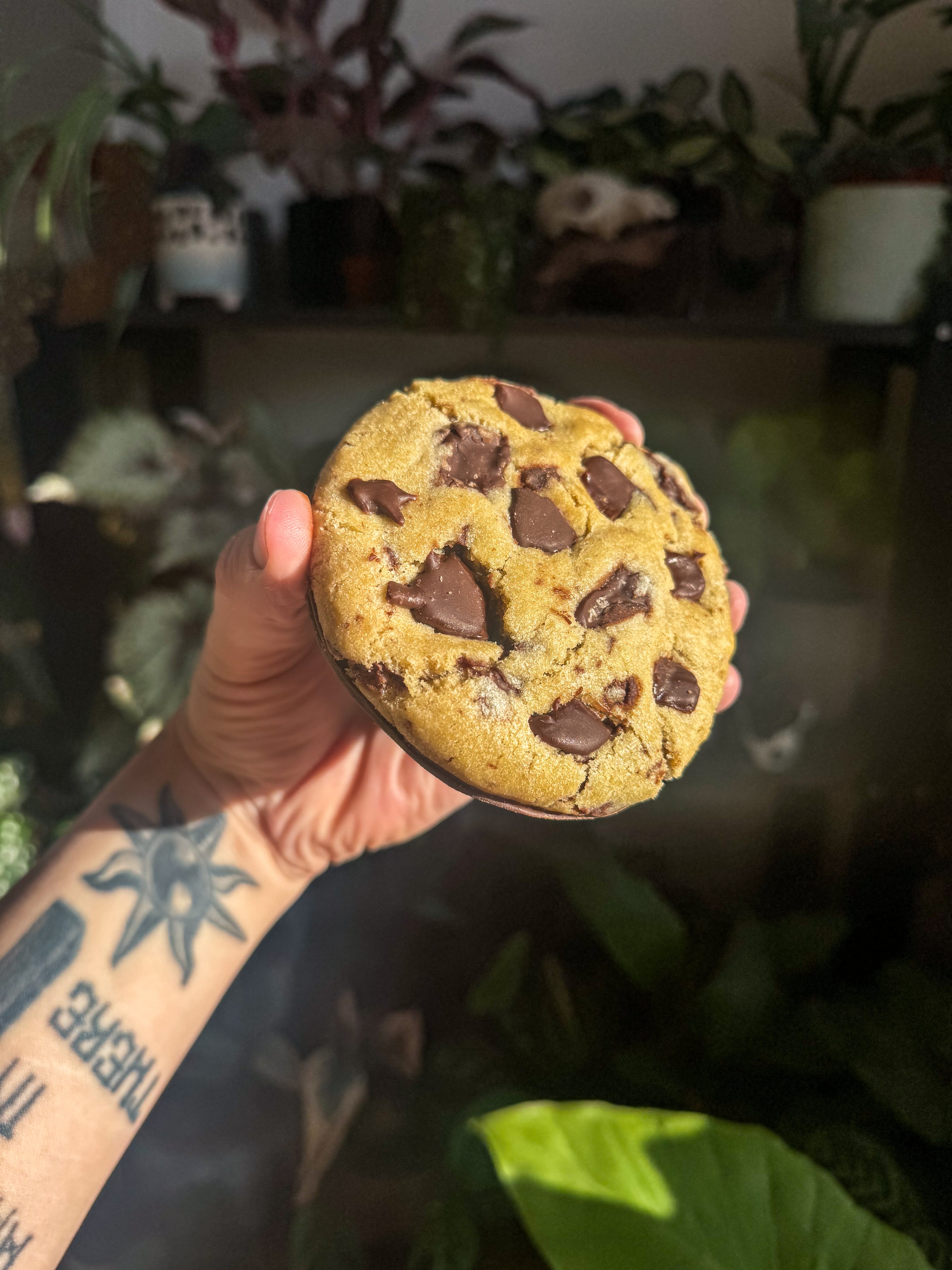 Mint chip cookie (vg)