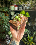 Mint aero brownie